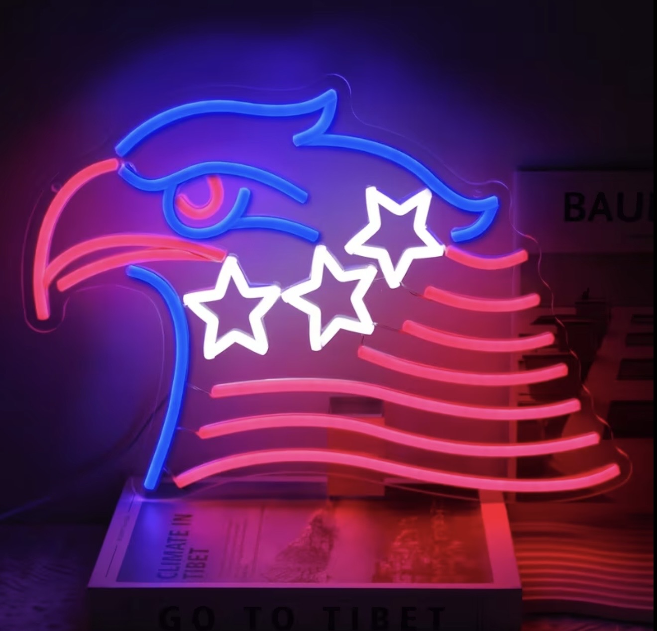 Patriotic Eagle Flag & Stars Neon Sign LED USB Powered Light