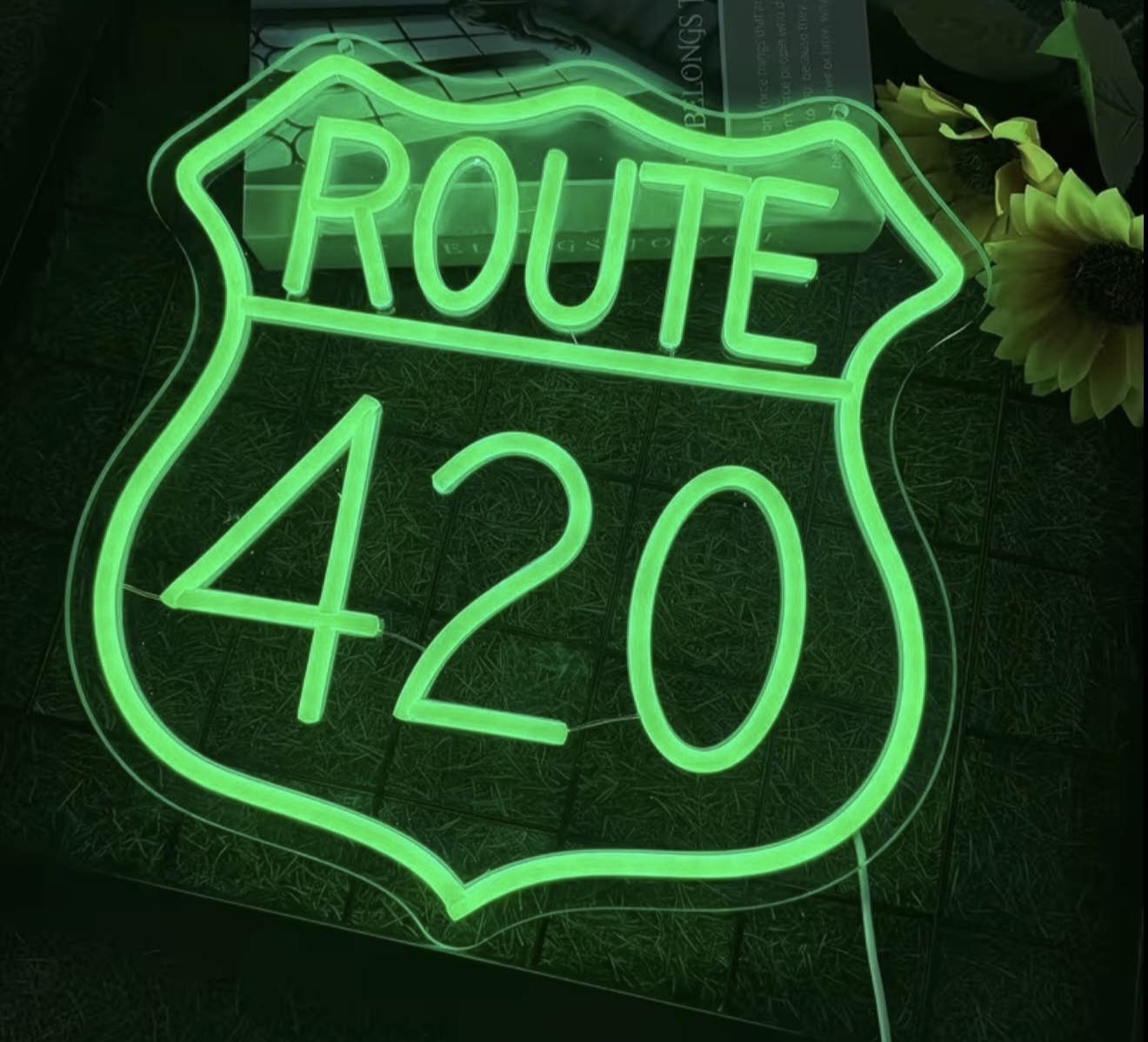 Route 420 Neon Sign USB Powered Dimmable Light