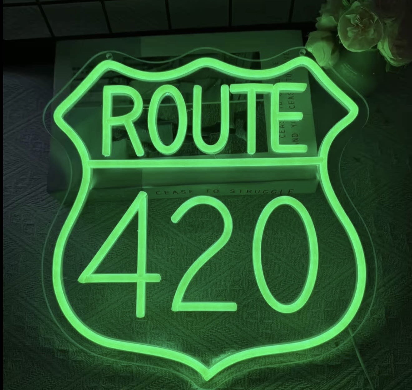 Route 420 Neon Sign USB Powered Dimmable Light